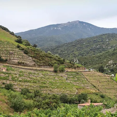 Dom wakacyjny Gite Rez De Chaussee Entre Mer Et Montagne Collioure